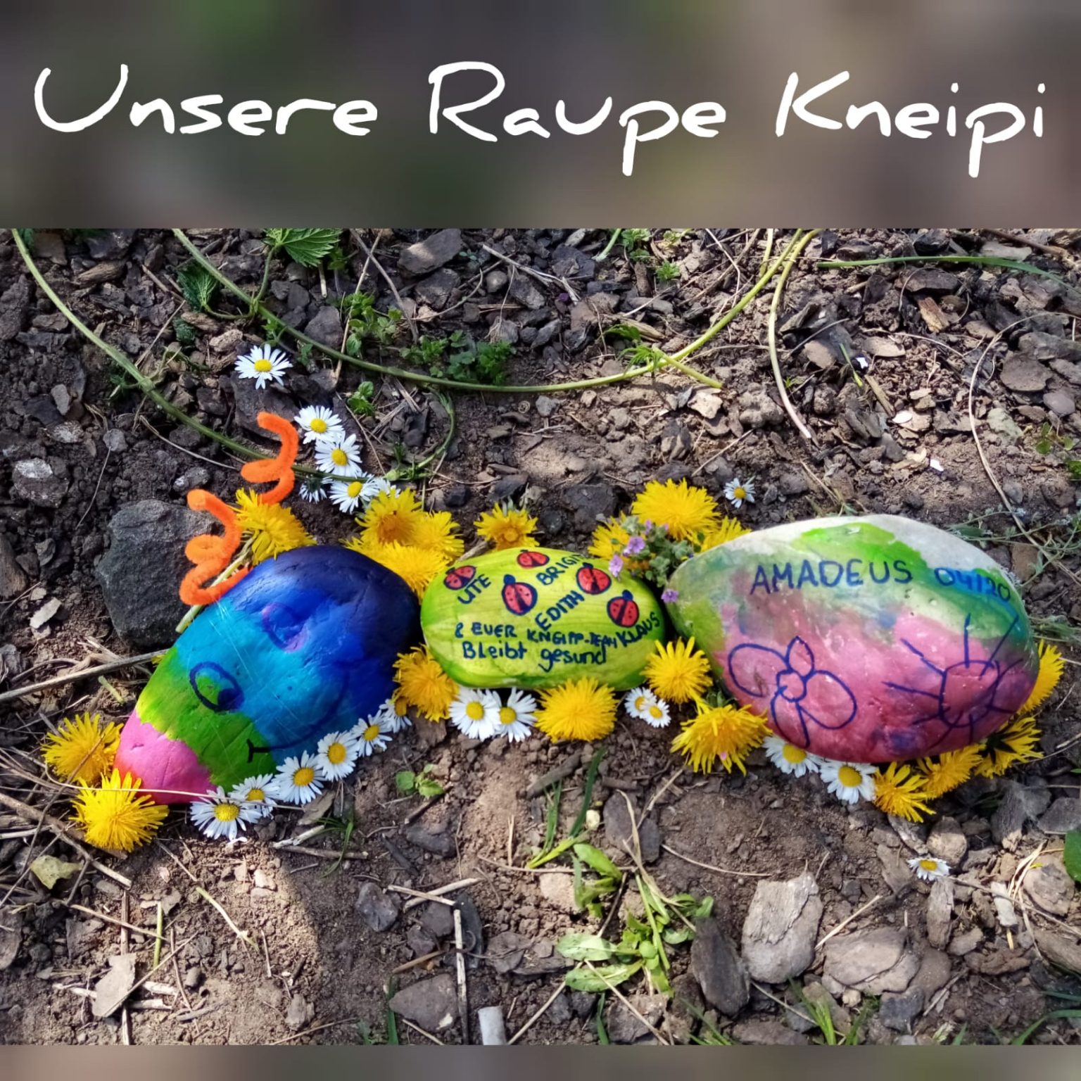 Kneipp Raupe Kneipi KneippVerein Spiesen e.V.